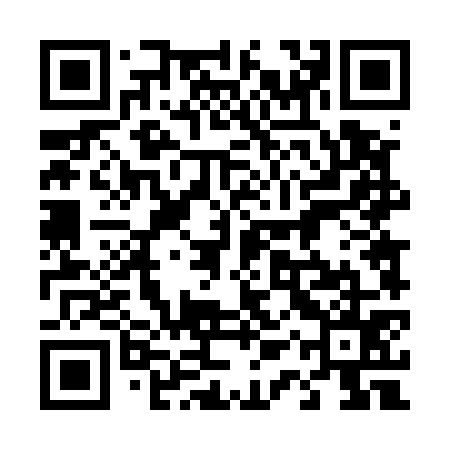 QR code for 41T575