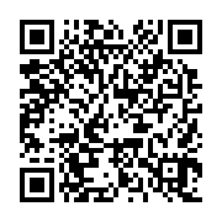 QR code for 41Z345