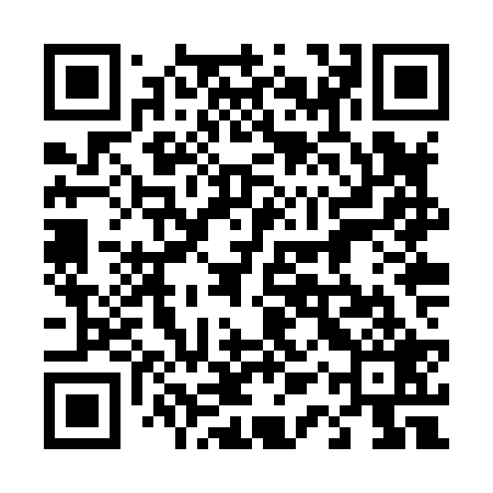 QR code for 41ZX29