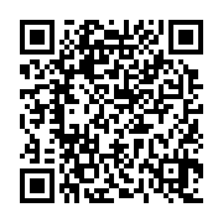 QR code for 42N334