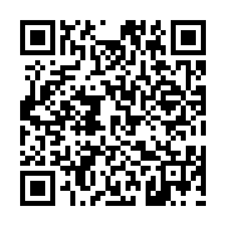 QR code for 42X315
