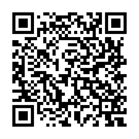 QR code for 43Q953
