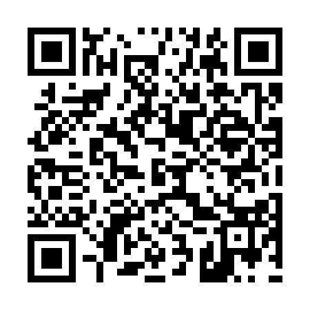 QR code for 43T313
