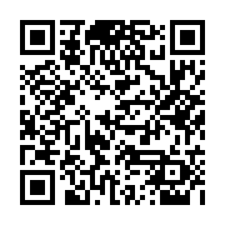 QR code for 45L729