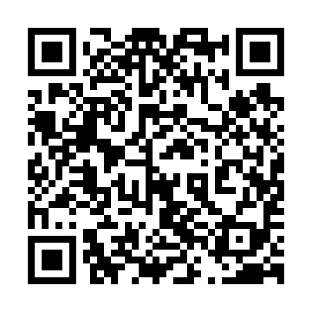 QR code for 46A699