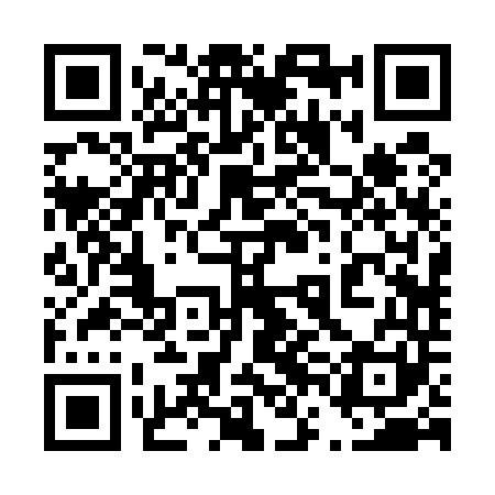 QR code for 46B541