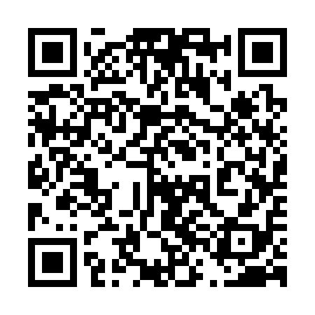 QR code for 46C318