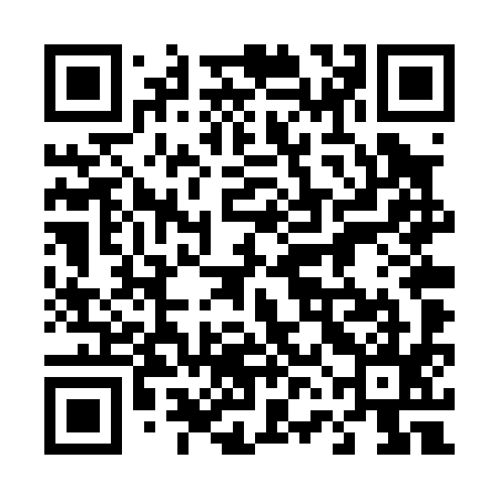 QR code for 46DP95