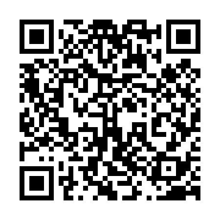 QR code for 46G438