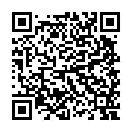 QR code for 46G484