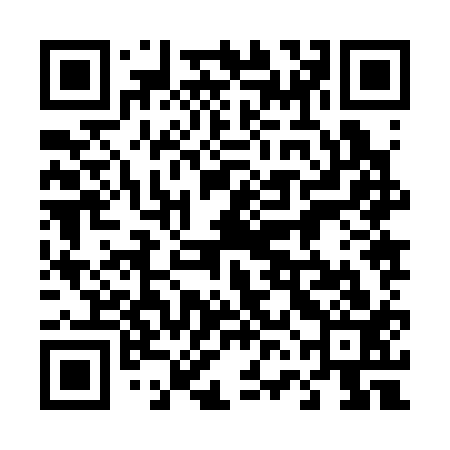 QR code for 46J313