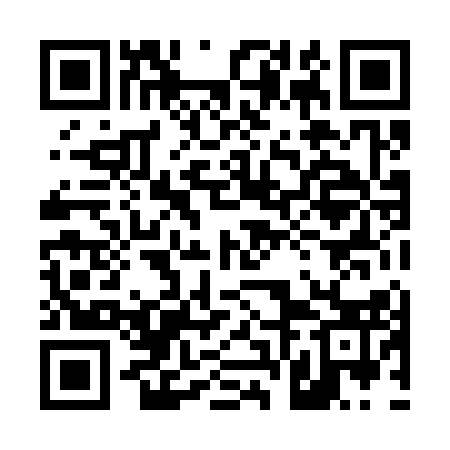 QR code for 46L313