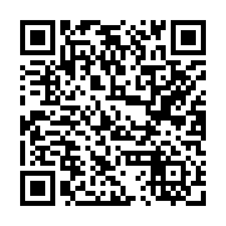 QR code for 46LI11
