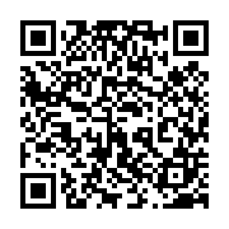 QR code for 46M402