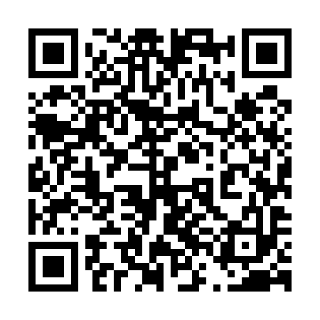 QR code for 46M593