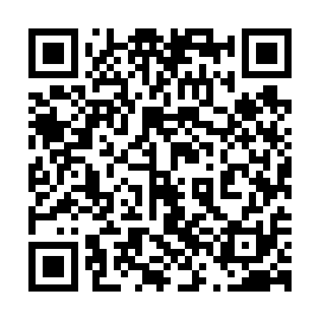 QR code for 46M611