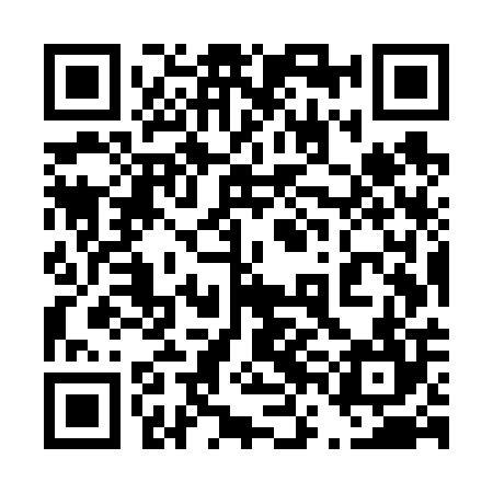 QR code for 46MV04