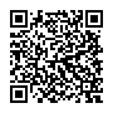 QR code for 46N561