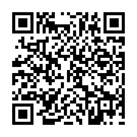 QR code for 46N849