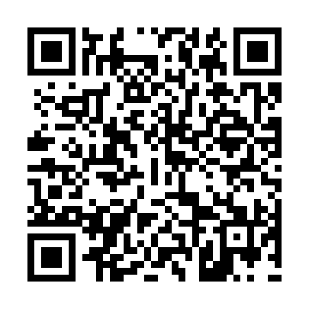 QR code for 46NS91