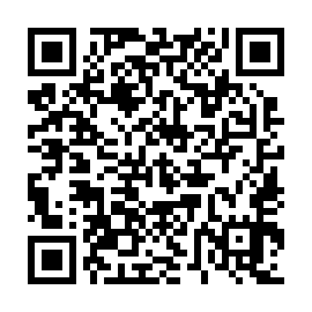 QR code for 46O255