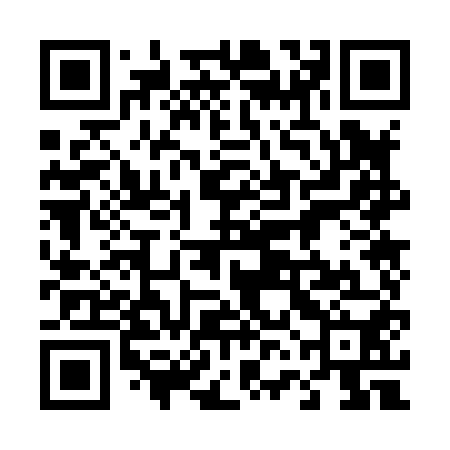QR code for 46O850