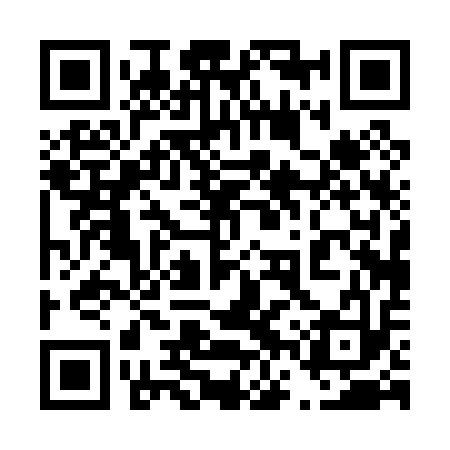 QR code for 46P013