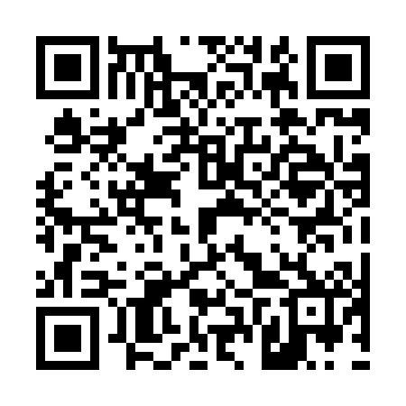 QR code for 46P802