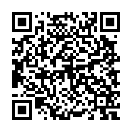 QR code for 46T066