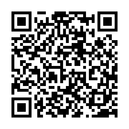 QR code for 46T161