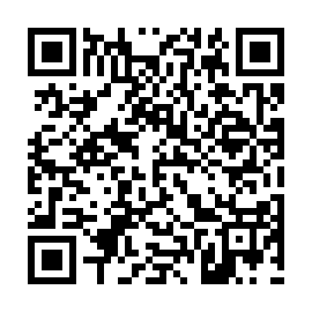 QR code for 46T317