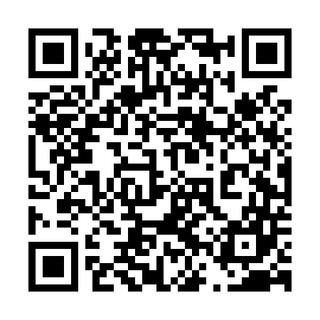 QR code for 46TL47