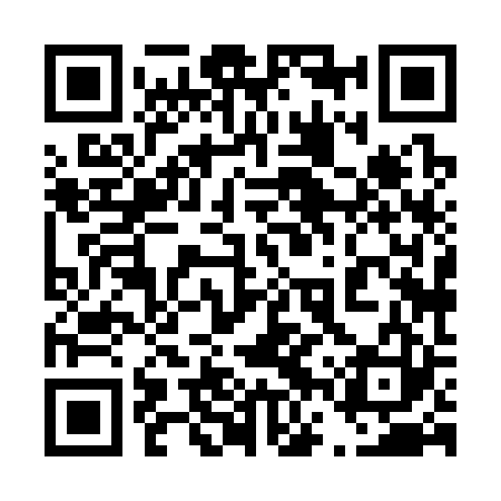 QR code for 46X323