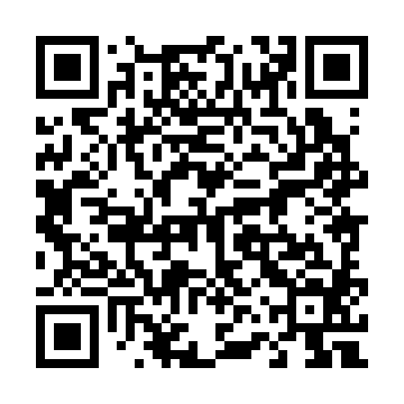 QR code for 46X384