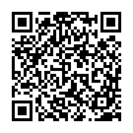 QR code for 46Z547