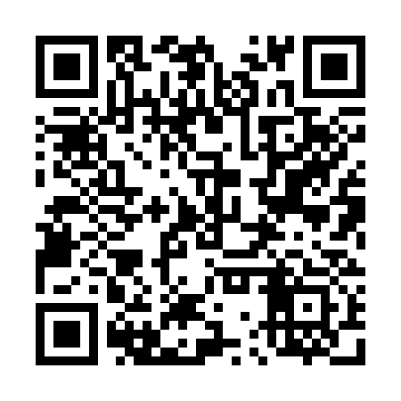 QR code for 47X333