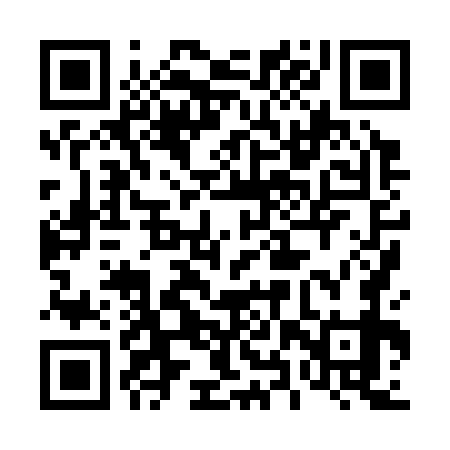 QR code for 48X379