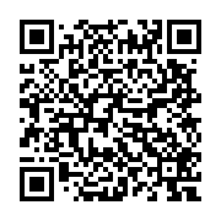 QR code for 49C509