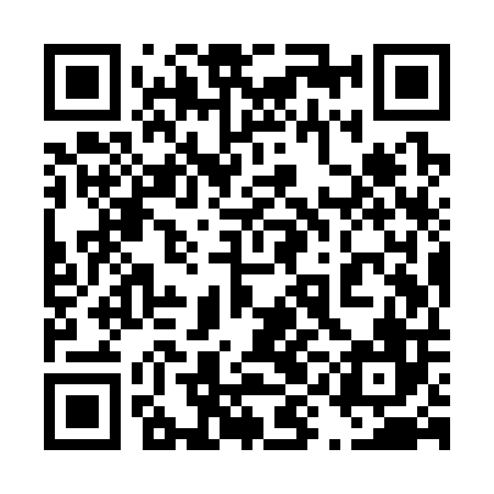 QR code for 49IS06