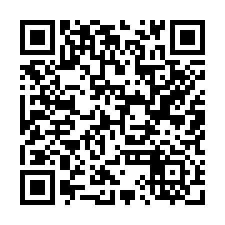 QR code for 49M313