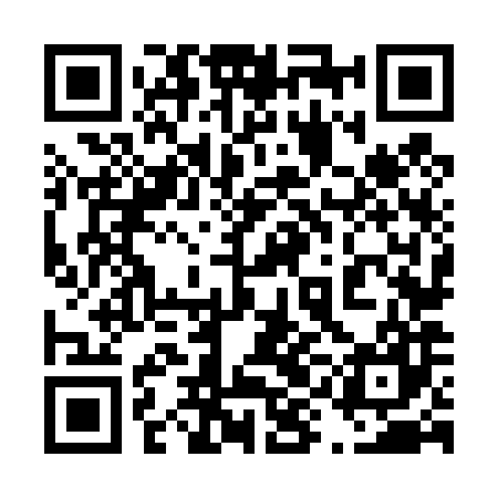 QR code for 49N487