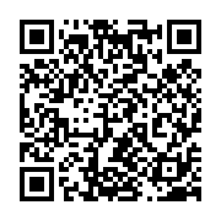 QR code for 49O411