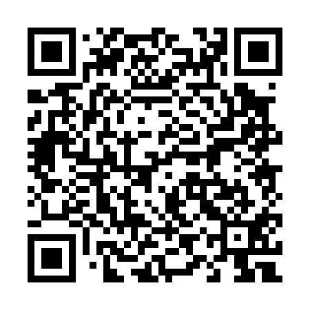 QR code for 49P011