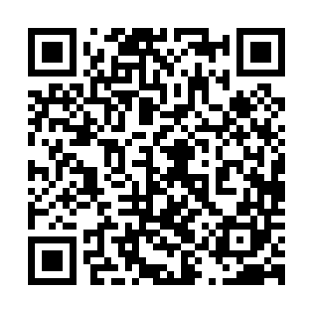 QR code for 49P040