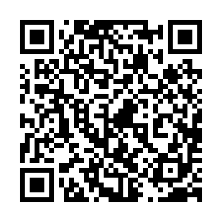 QR code for 49P290