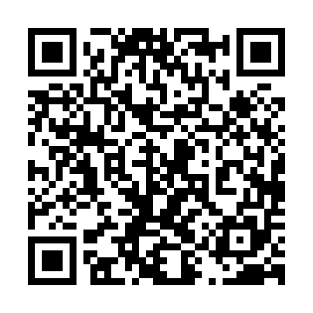 QR code for 49P855