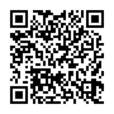 QR code for 49P869