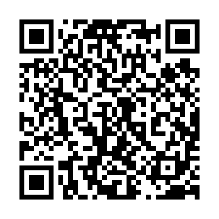 QR code for 49PV91