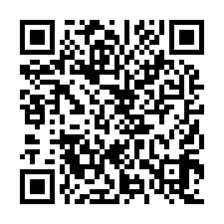 QR code for 49R919