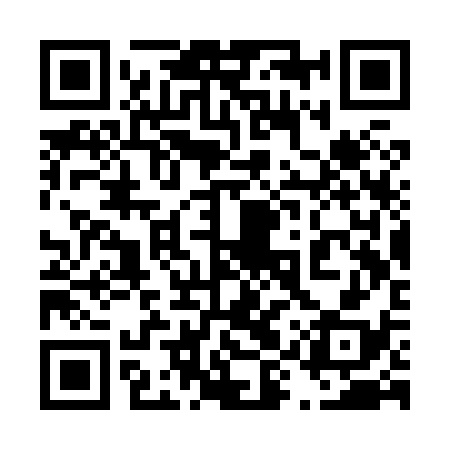 QR code for 49SX38